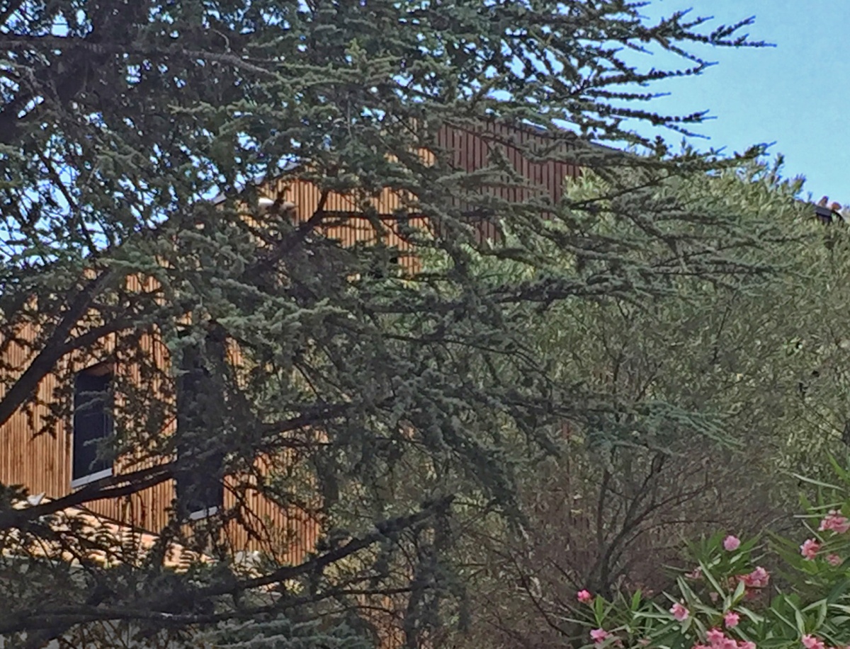 Sur�l�vation Bois : Photo 1