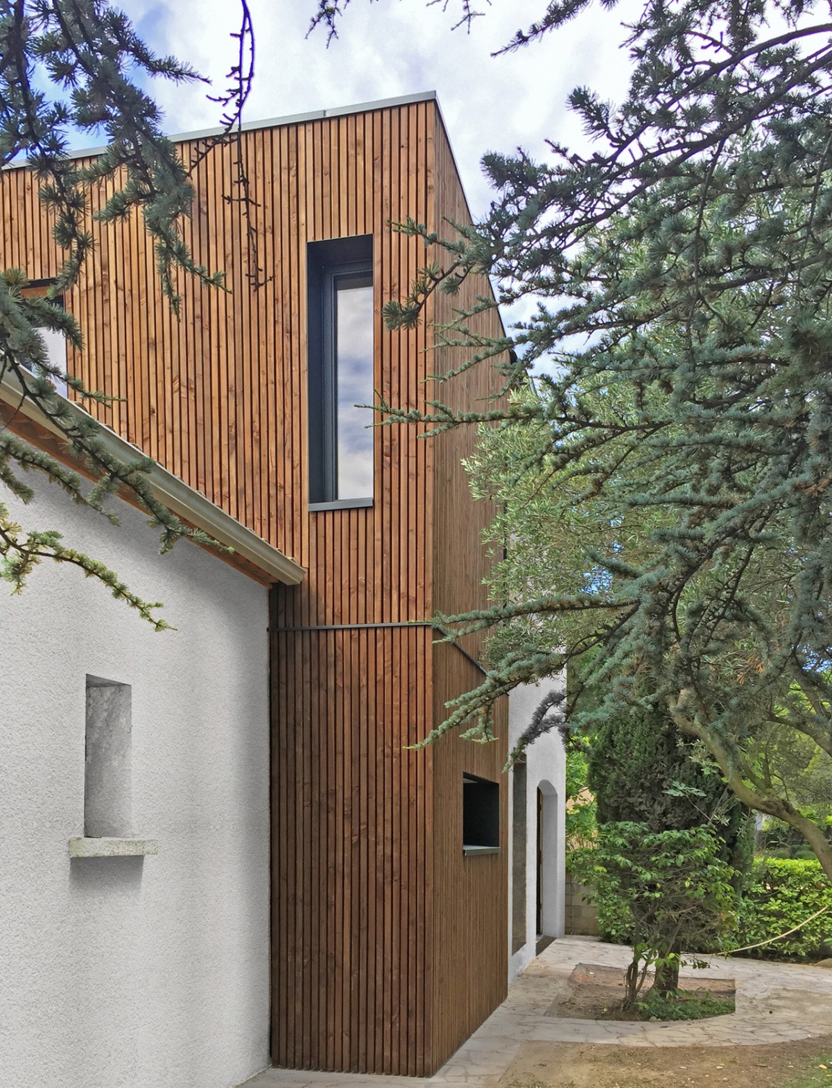 Sur�l�vation Bois : Photo 3