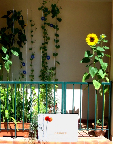 Agence Val�rie GARNIER Architecture : image_projet_mini_17892