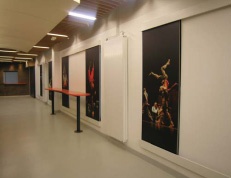 R�am�nagement d'un b�timent existant en centre chor�graphique. : ESPACE d'ACCUEIL