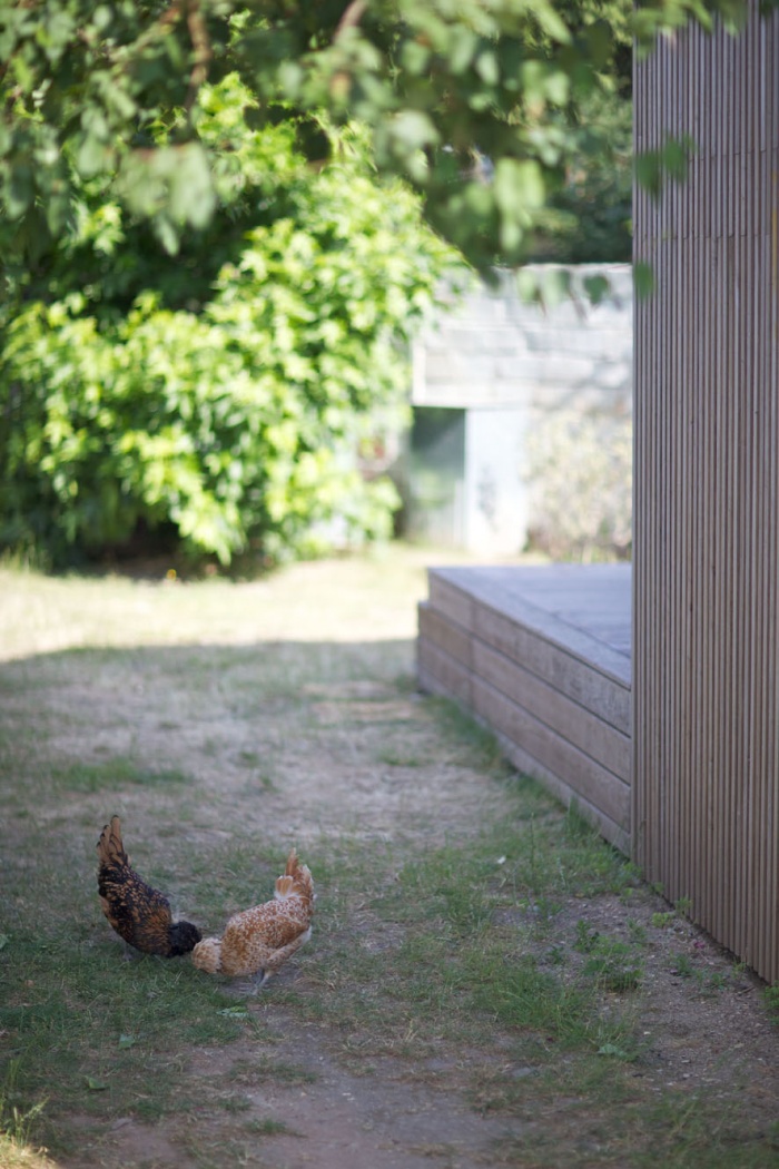 extension d'une maison : 4