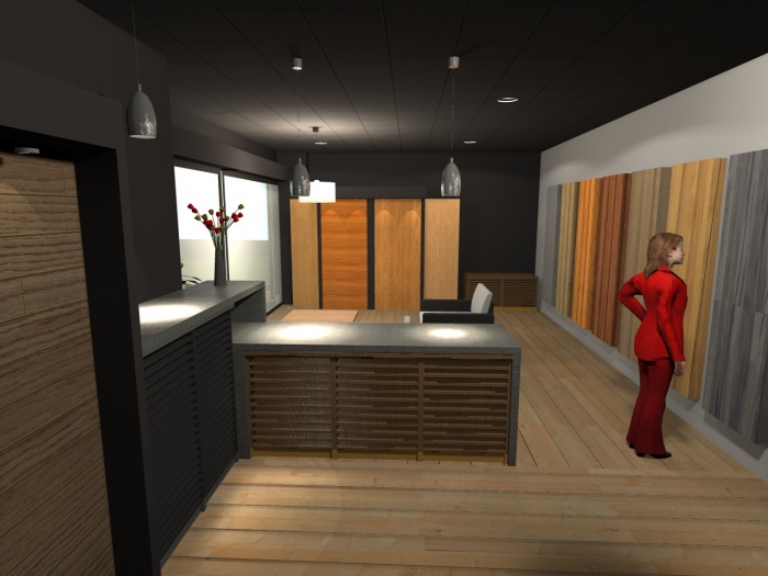 Cr�ation des locaux de Parquets M�tropole : zone milieu 2